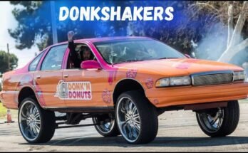 Donkshakers