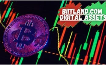 Biitland.com Digital Assets