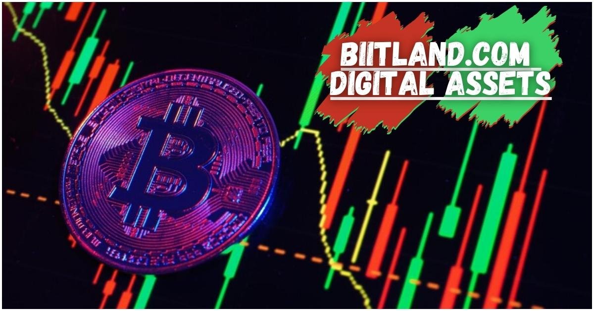 Biitland.com digital assets